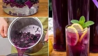 Purple Cabbage & Blueberry Wellness Drink